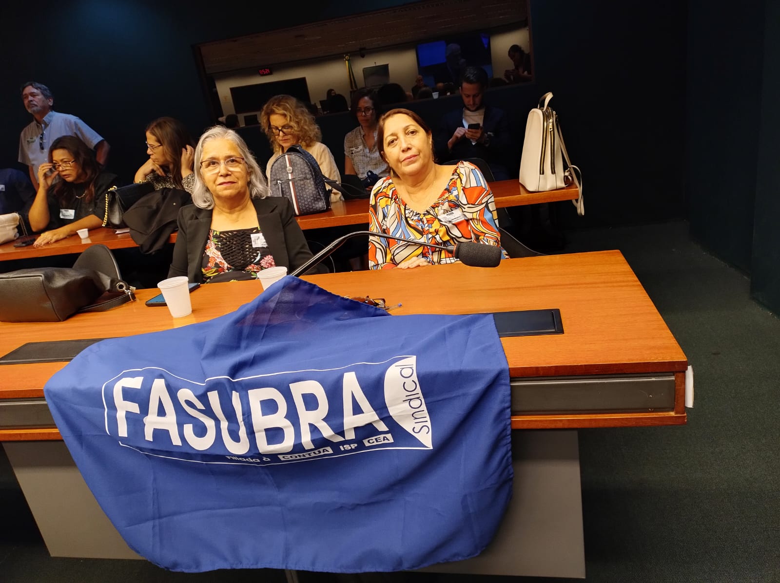 FASUBRA Sindical participa da 50ª reunião da Frente Parlamentar Mista na defesa do Serviço Público 1
