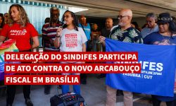 Delegação do SINDIFES participa de ato contra o novo arcabouço fiscal em Brasília 4