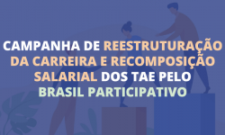 Brasil Participativo: vote na proposta de reestruturação da carreira e recomposição salarial dos TAE 1