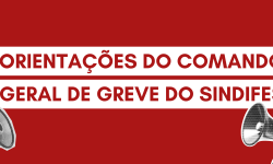 ORIENTAÇÕES DO COMANDO GERAL DE GREVE DO SINDIFES 2
