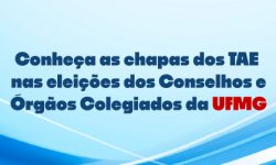 Conheça as chapas dos TAE nas eleições dos Conselhos e Órgãos Colegiados da UFMG 1